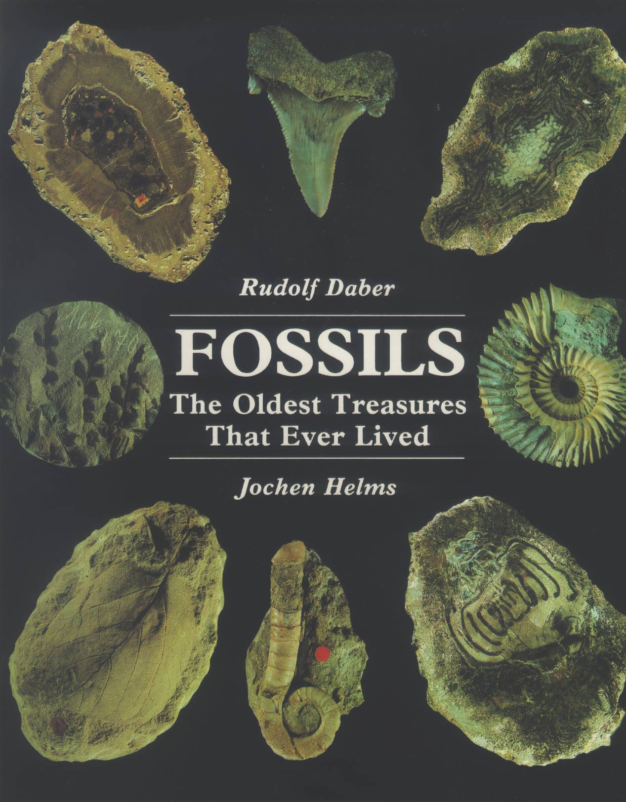 FOSSILS: the greatest treasures that ever lived. 